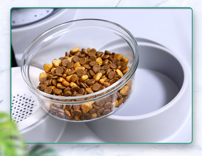 🐾 Portable & Cordless Automatic Water Dispenser | 2-in-1 Food & Water Bowl | With Optional Filters