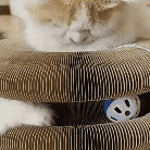 92f50f843dd183f6a5bc5bf28cbf9cc5ldlwhygvhp (1).gif__PID:0a78671b-9fd0-47bf-a1b7-654c9fa13183