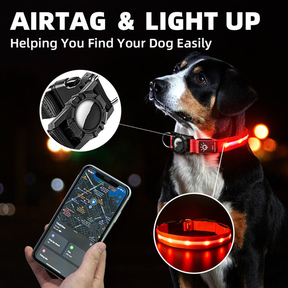 💡 LED Light-Up Pet Collar | Safe Night Walks for Your Furry Friend 🐾