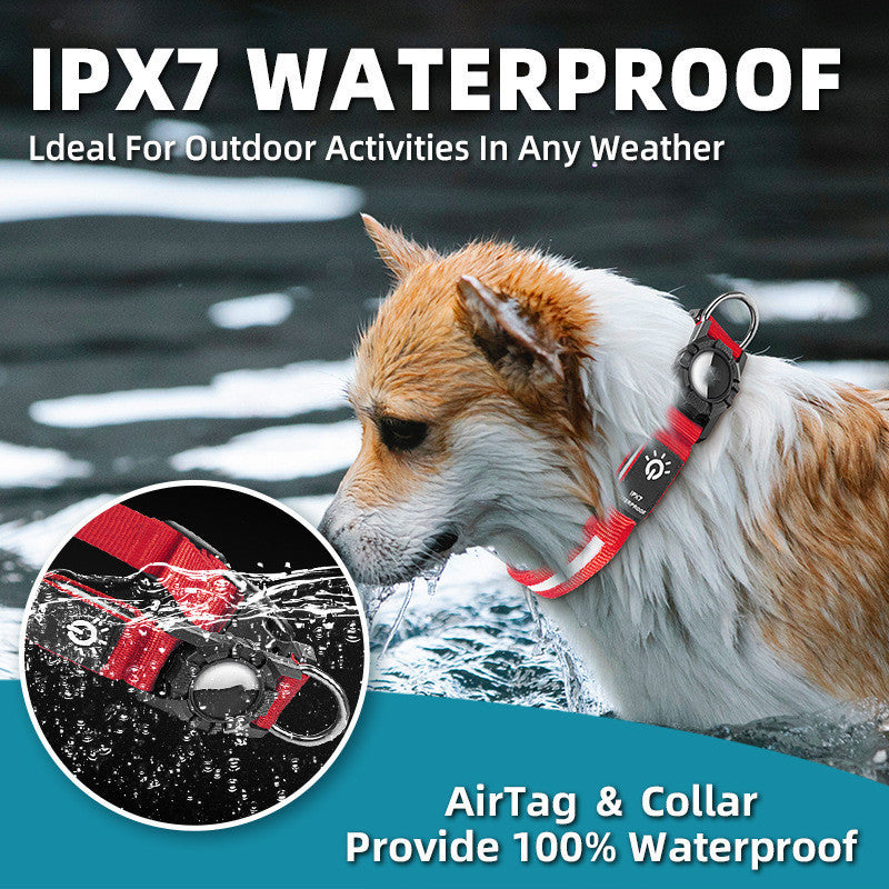 💡 LED Light-Up Pet Collar | Safe Night Walks for Your Furry Friend 🐾