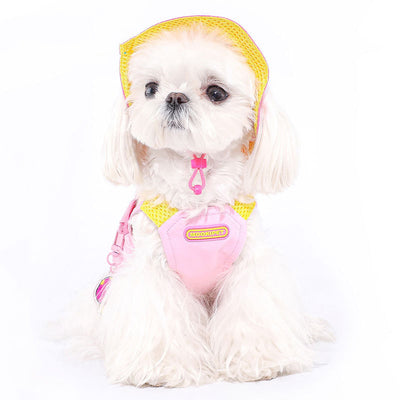 Bichon, Teddy & Schnauzer Traction Pet Vest – Lightweight, Stylish & Adjustable! 🐾