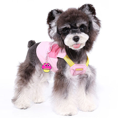 Bichon, Teddy & Schnauzer Traction Pet Vest – Lightweight, Stylish & Adjustable! 🐾