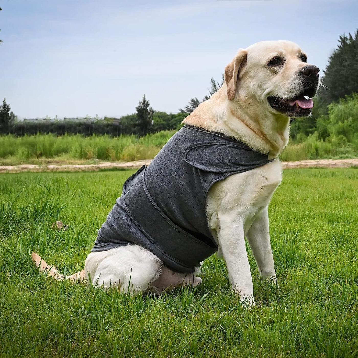 🐶 Classic Dog Anxiety Jacket – Breathable Thunder Vest for Stress & Noise Relief | Calming Shirt for Dogs of All Sizes