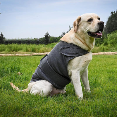 🐶 Classic Dog Anxiety Jacket – Breathable Thunder Vest for Stress & Noise Relief | Calming Shirt for Dogs of All Sizes