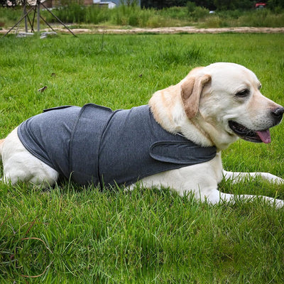 🐶 Classic Dog Anxiety Jacket – Breathable Thunder Vest for Stress & Noise Relief | Calming Shirt for Dogs of All Sizes