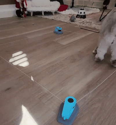Automatic Interactive Cat Toy with Moving Feather Teaser