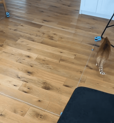 Automatic Interactive Cat Toy with Moving Feather Teaser