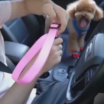 Adjustable Pet Car Seat Belt – Safety Harness Clip for Dogs & Cats | Nylon Vehicle Restraint